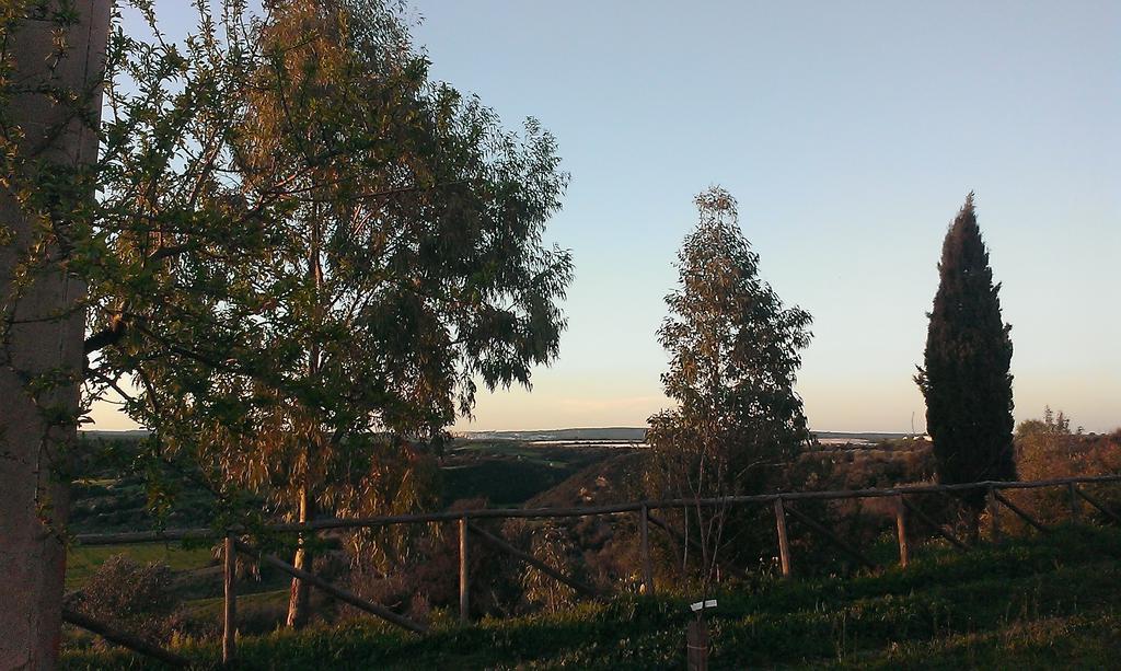 Masseria Strada Agriturismo Джиноза Екстер'єр фото