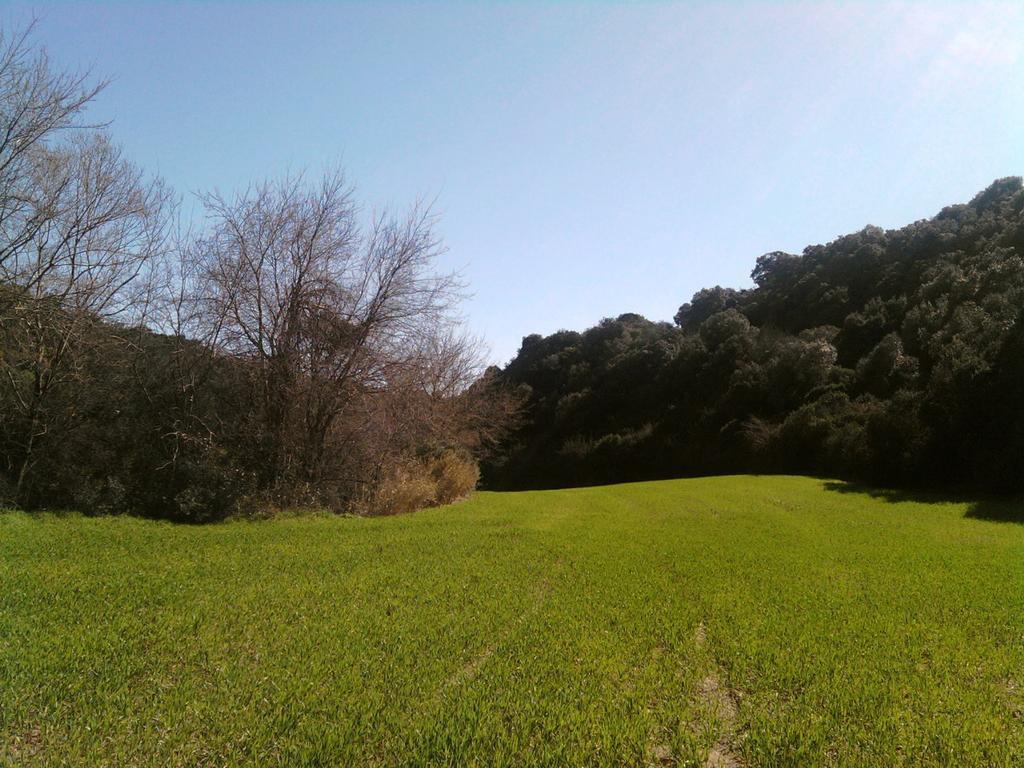 Masseria Strada Agriturismo Джиноза Екстер'єр фото